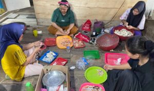 Compress_20260411_165225_5602