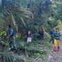 WhatsApp Image 2026-09-08 at 18.49.39