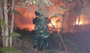 IMG-20261022-WA0150
